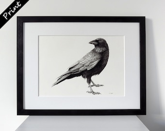 Adult crow fine art print, crow art, crow picture, crow drawing, gothic decor, gothic art, birdwatching gift, crow print