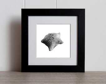 Desenho de estrela-do-mar: Estrela-do-mar original desenhada à mão para almofada, emoldurada.