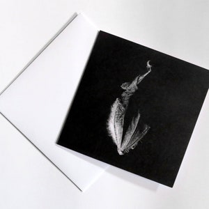 Gothic Bat Art Card: Black and White Hanging Bat Drawing
