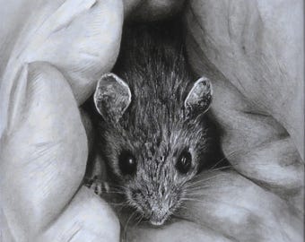 Retrato de animal de estimação exclusivo desenhado à mão a carvão a partir de foto, presente para amantes de roedores