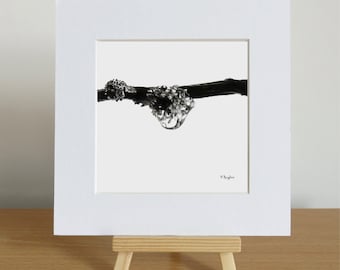 Impressão de gota de líquen: arte em carvão assinada em edição limitada