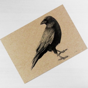 Impression de corbeau sur papier cartonné recyclé naturel, A5, impression d’oiseau, art de la faune, art des oiseaux, art du corbeau, art gothique, dessin du corbeau, faune britannique
