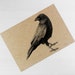 see more listings in the Crows prints section