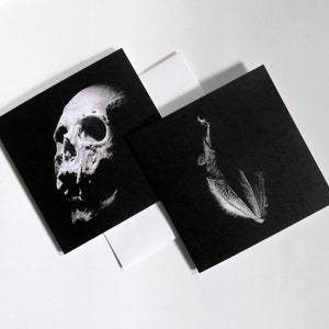 Human skull and hanging bat set of gothic cards, gothic prints, halloween cards, gothic art, gothic decor, gothic gifts, skull art, bat art