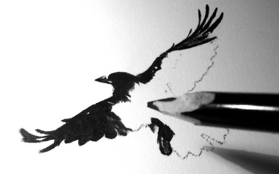 Dessins Au Fusain De Corbeau Corneille Dessin Dessin De Tour Art De Corneille Dessin Au Crayon Art Gothique Art Animalier Art Doiseau Photo