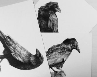 Crow print set on white recycled card stock, A5, bird print, wildlife art, bird art, crow art, gothic art, crow drawing, British wildlife