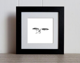 Gaivota em voo: desenho original à mão de uma gaivota-prateada, emoldurada.