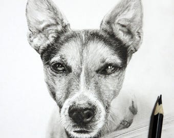 Retrato de animal de estimação personalizado em carvão: arte memorial desenhada à mão