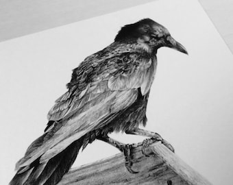 Crow on a coast path sign print on white recycled card stock, A5, bird print, wildlife art, bird art,crow art,gothic art, coast art, seaside