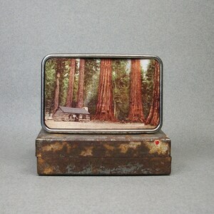 May include: A silver belt buckle featuring a vintage photograph of a cabin nestled amongst a grove of tall trees. The image is encased in a silver frame.