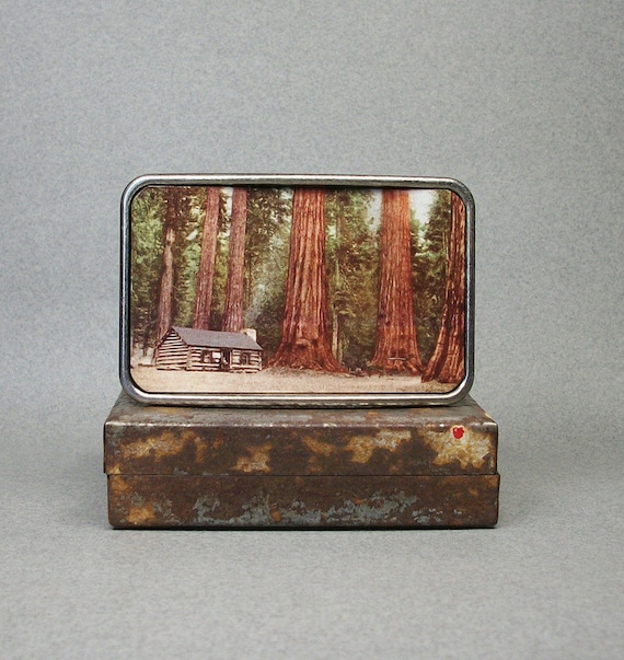 Cabin in Forest Belt Buckle: Wilderness Photochrom Design