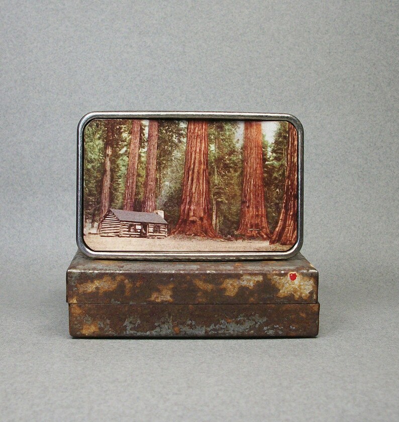 May include: A silver belt buckle featuring a vintage photograph of a cabin nestled amongst a grove of tall trees. The image is encased in a silver frame.