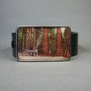 May include: A silver belt buckle featuring a vintage image of a cabin in a forest of tall redwood trees.