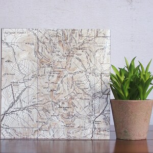 Puede incluir: Un mapa vintage de una región montañosa con líneas de contorno y nombres de lugares impresos sobre un fondo blanco. El mapa está enmarcado y se muestra en una pared blanca junto a una planta verde en maceta.