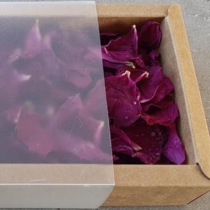 Getrocknete Rosenblüten (5 g) Duftrose pink | Naturdeko in Kraftkarton-Schachtel mit Sichtfenster | DIY, Seife, Potpourri, Flitterwochen