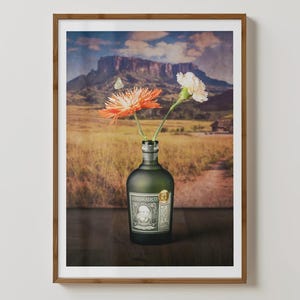 Diplomatico Kunstdruck | Barwagen Dekor | Hausbar Wandkunst | Man Höhle Poster |  Spirituosen-Wand-Kunst | Venezolanisches Rum-zeitgenössisches Geschenk