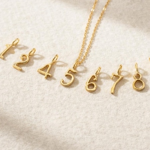 May include: A gold-toned necklace featuring a number five pendant, accompanied by a collection of individual gold-toned number charms ranging from one to eight, each equipped with a small loop for attachment to a chain or jewelry component.