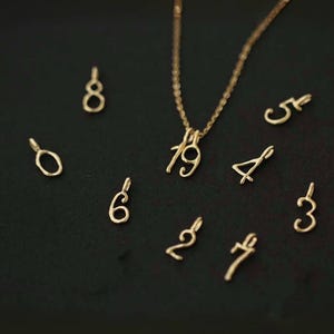 May include: A gold-toned necklace chain with the numbers 1 and 9 attached as pendants, surrounded by individual gold-toned number charms including 0, 2, 3, 4, 5, 6, 7, and 8, each featuring a small loop at the top for attachment to a chain.