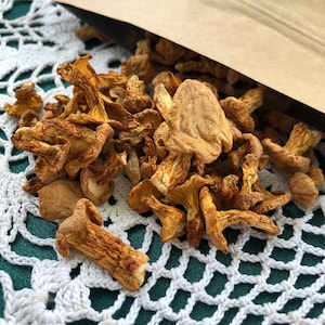 Dried wild chanterelle mushrooms | hand picked | natural forest harvest | premium quality | anthelmintic | organic product | Free Shipping