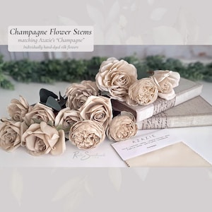 Champagne Wedding Flower Stems | Hand-Dyed Color Match Dozen Silk Flowers Bridal Faux Floral Stems DIY Artificial Bridesmaid Bouquet Decor