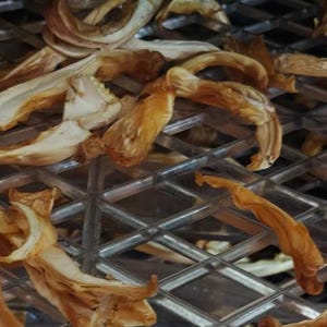 May include: Thin, dried, light brown mushroom slices are arranged on a silver-colored metal grid tray. The dehydrated fungi pieces have curled, irregular shapes and a fibrous texture, showing variations in color from pale cream to deep tan.