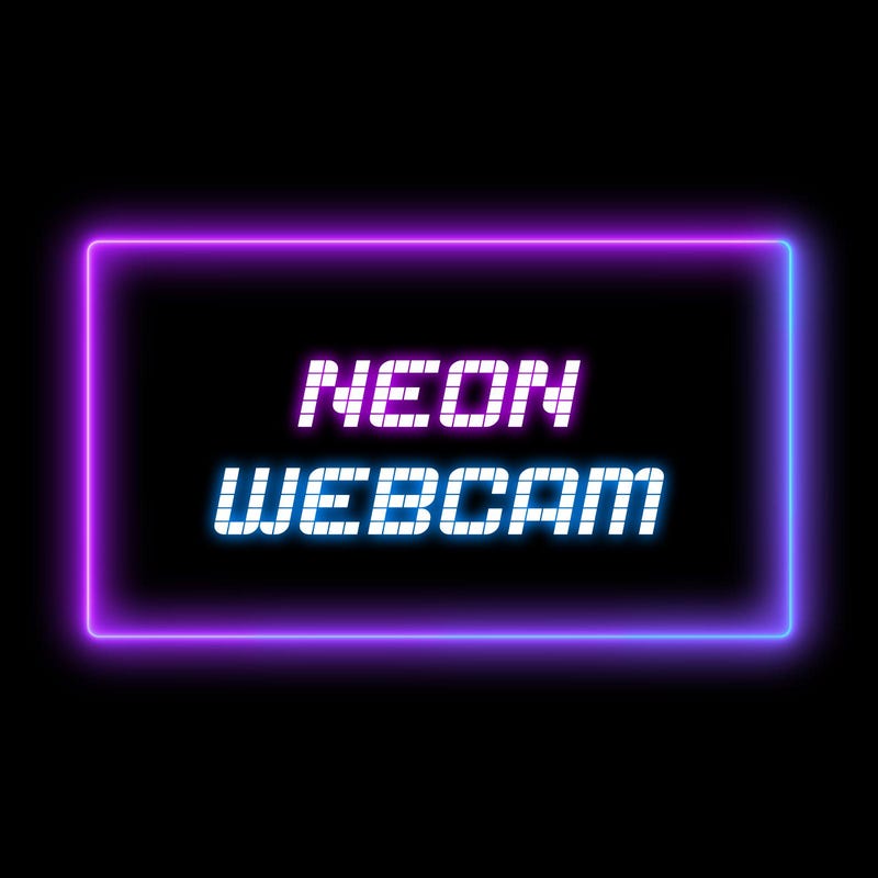 Neon Webcam Overlay
