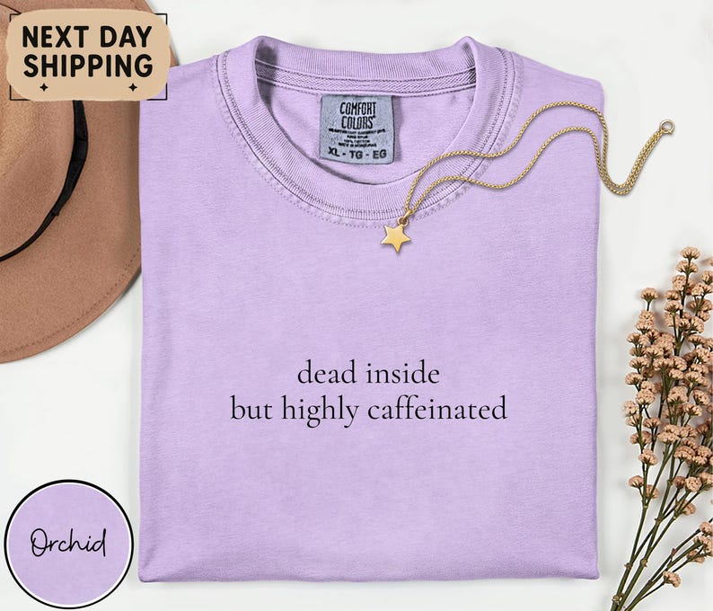 May include: A light purple t-shirt with the text "dead inside but highly caffeinated". A gold star pendant necklace rests on the shirt. The shirt is next to a brown hat and a sprig of dried flowers.