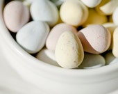 easter candy photo pastel colors spring decorating 4x6 photograph mini eggs lemon pale blue pink "Easter Candy Bowl"