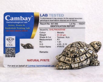 Certified Pyrite Turtle | Feng Shui Wealth Decor | Desk Prosperity Gift