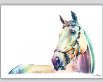 Rainbow Horse Print