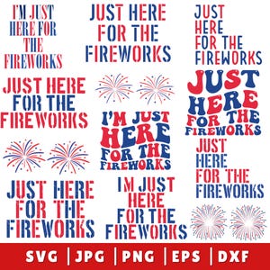 Coppia di fuochi d'artificio divertenti degli USA in formato PNG, Proprio qui per i fuochi d'artificio in formato SVG, Coppia sarcastica in formato PNG, Umorismo per adulti in formato PNG, 4 luglio in formato SVG, Maglietta con fuochi d'artificio,