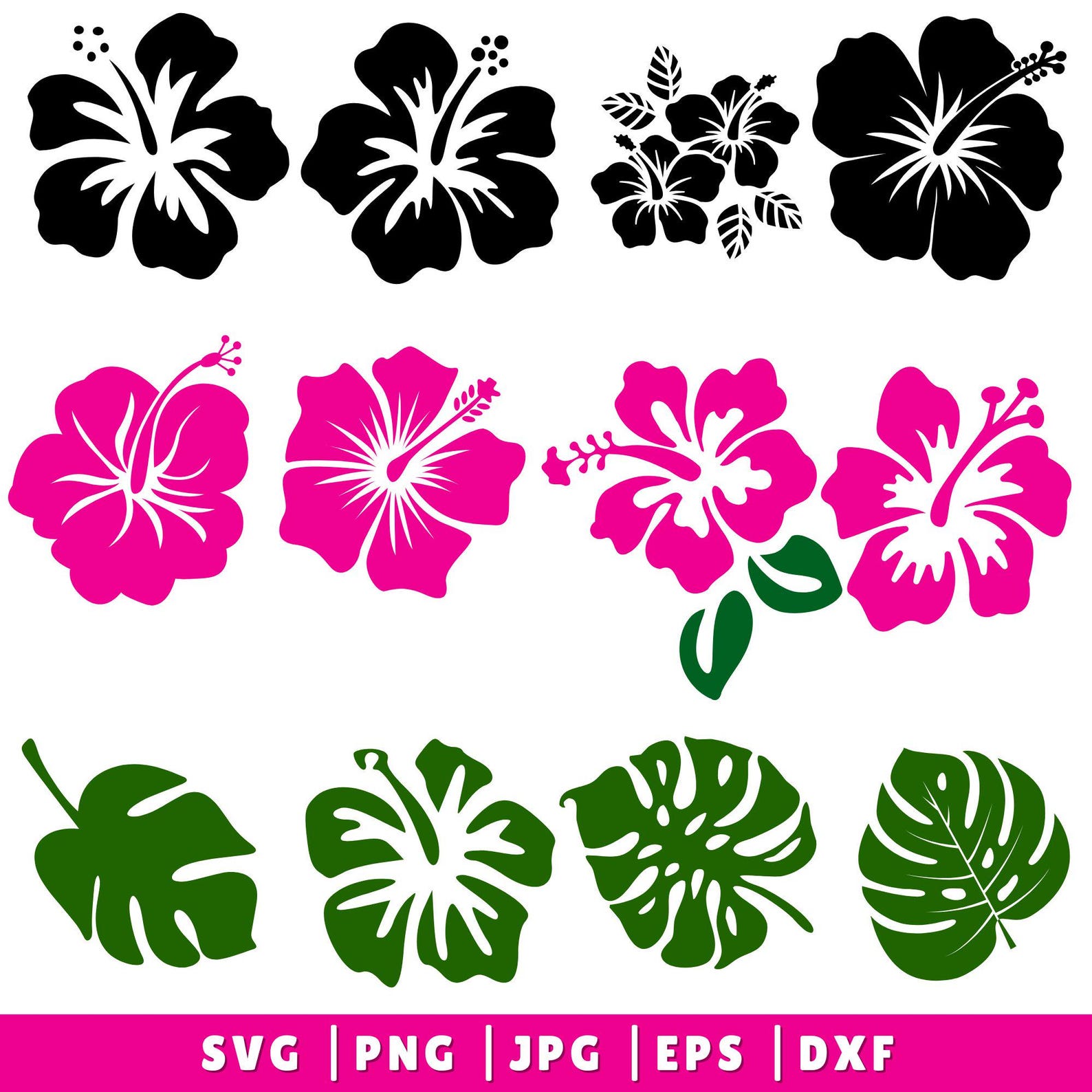 Hibiscus Flowers Svg Bundle, Hibiscus Svg, Tropical Floral Clipart Svg ...