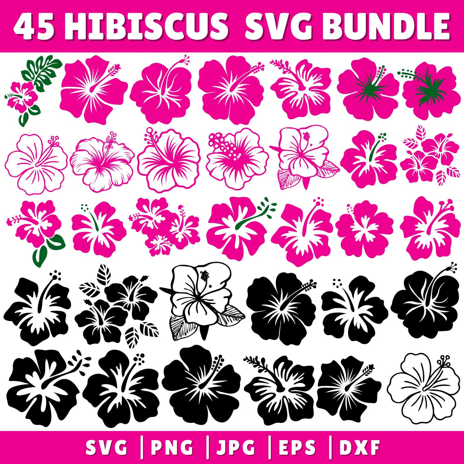 Hibiscus Flowers Svg Bundle, Hibiscus Svg, Tropical Floral Clipart Svg ...
