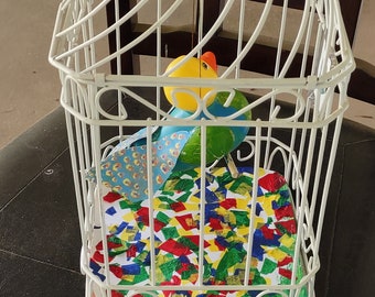 Rubber ducky dreams of being a peacock: junk art