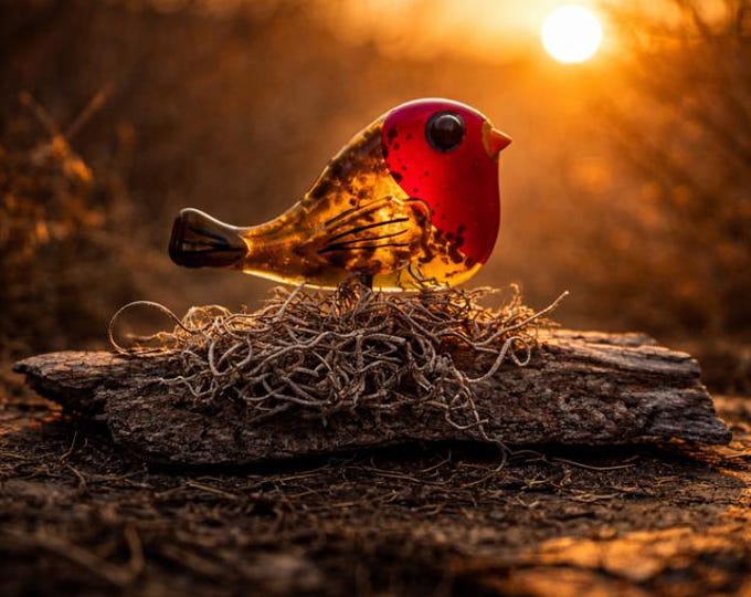 Fused Glass Robin Art: Freestanding Bird on Mississippi Driftwood