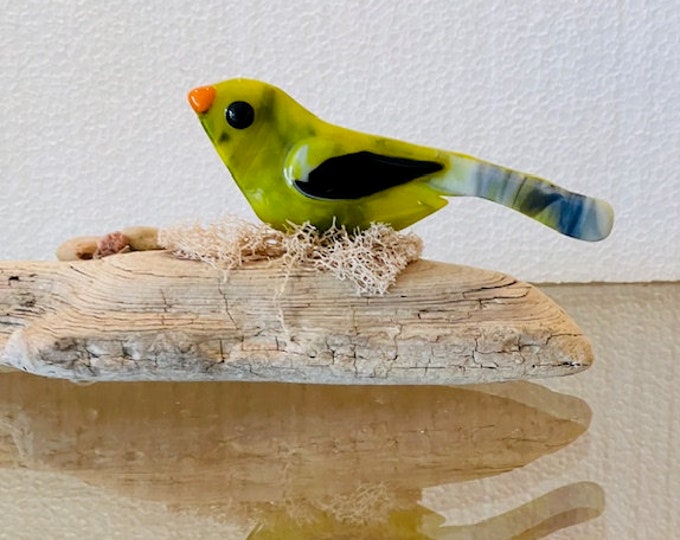 Birds of Wisdom, Fused Glass Bird on Driftwood, Bird Sculpture