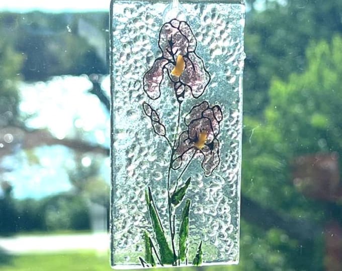 Fused Glass Sun Catcher, Botanicals Sun Catcher, Bringing the Outside In, Hanger Included, Gift boxed