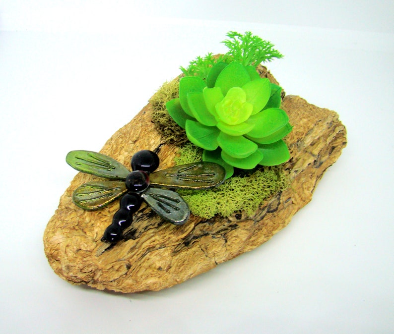 Fused Glass Dragonfly on Driftwood with Succulents