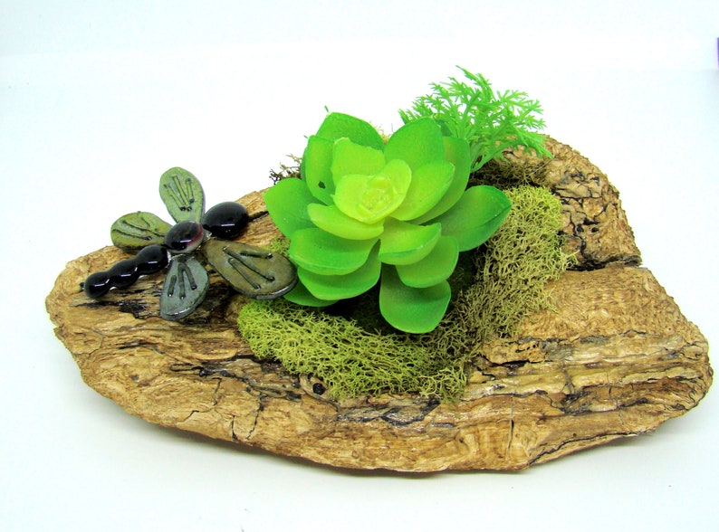 Fused Glass Dragonfly on Driftwood with Succulents