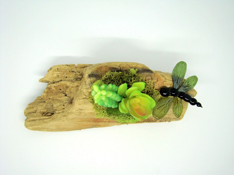 Fused Glass Dragonfly on Driftwood with Succulents