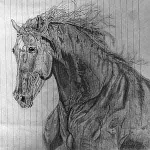Detailed Horse Sketch in Black and White