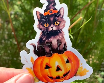 Halloween Cat Sticker, Witch Hat, Jack-o'-Lantern, Blank Cat Sticker, Pumpkin Sticker