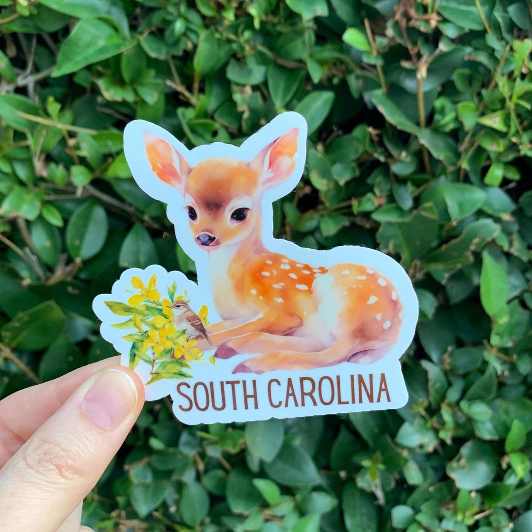 Sc Native Sticker South Carolina Sticker, South Carolina Deer, State Pride Sticker, South ...
