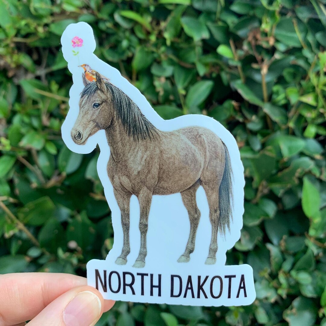 North Dakota Sticker, State Sticker, North Dakota Gift, North Dakota ...