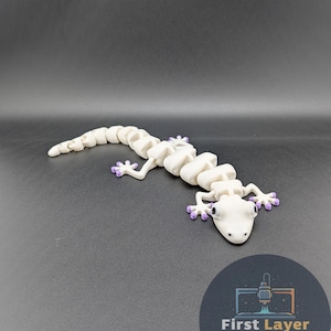 Custom Color Gecko Fidget Toy, Articulated Lizard Desk Pet with Colored Toes, 3D Printed Reptile, Sensory Toy, Gecko Lover Gift