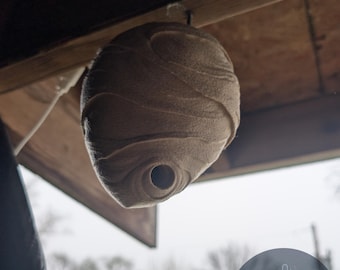 Repelente realista para nidos de avispas / Nido de avispas señuelo texturizado, nido de avispones falso para porche y jardín, control natural de plagas, impresión 3D resistente a la intemperie