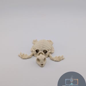 Flexi Skeleton Turtle | 3D Printed Articulated Bone Turtle, Spooky Decor, Gothic Desk Toy, Macabre Gift, Skeleton Oddity, Jumbo Turtle