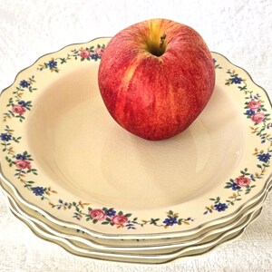 May include: A stack of four cream-colored, scalloped-edge plates with a floral border of pink and blue flowers. A red apple sits atop the plates. The plates have a gold trim.
