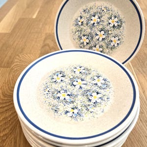 May include: Stack of white ceramic plates with a blue rim and a floral pattern. The plates feature a central design of small white flowers with yellow centers and blue and green accents, set against a speckled background.