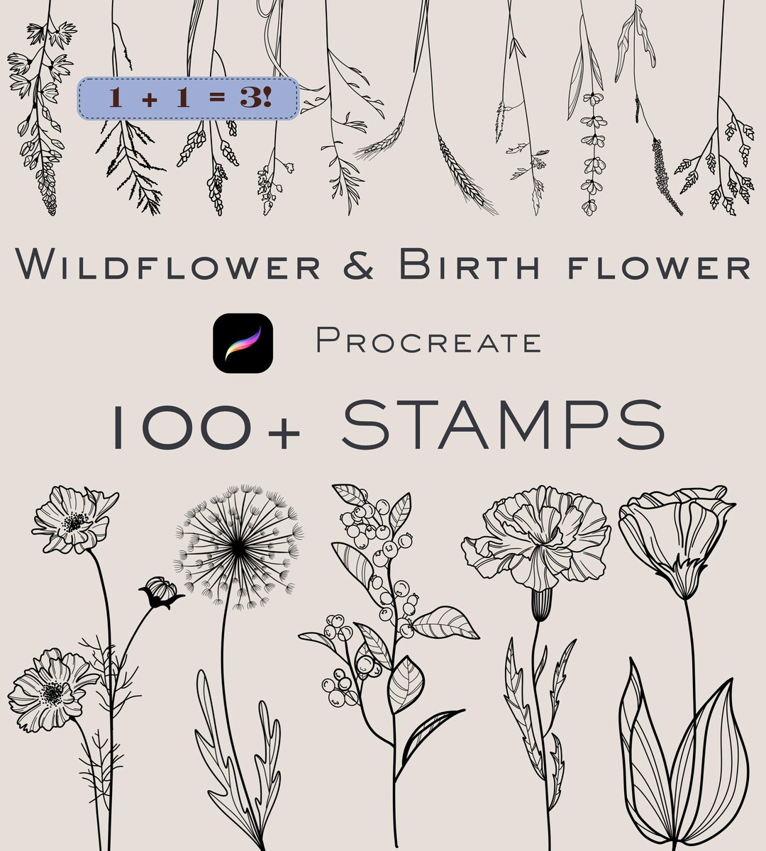 Wildflower & Birth Flower Procreate Stamps | Floral Brushes Pack ...